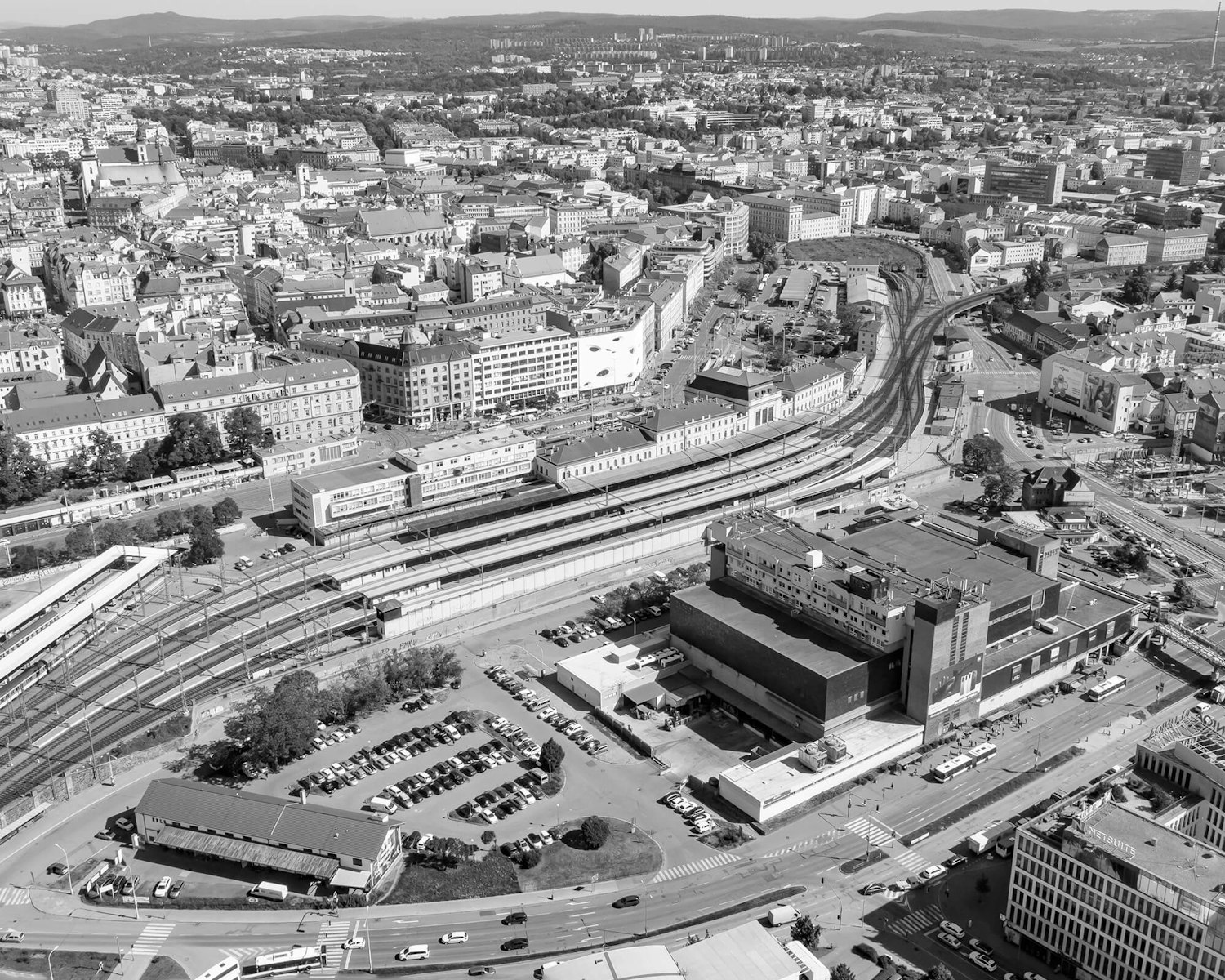 1709906997-dornych_4
